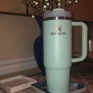 Mint colored Stanley cup 30 oz